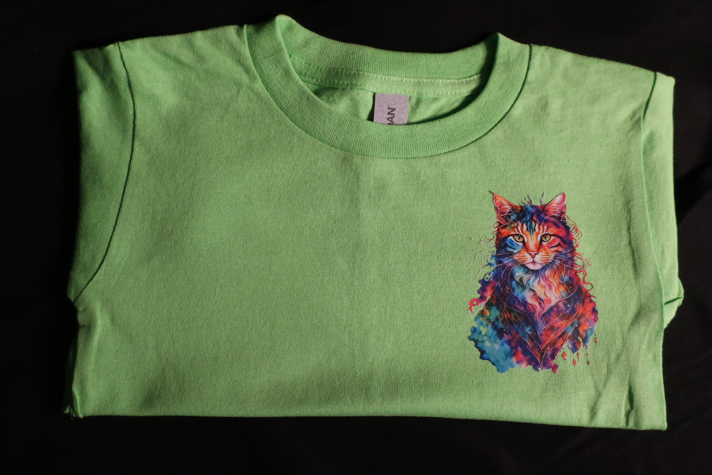4-T Girls short sleeve toddler shirt